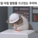 푸르른 현대