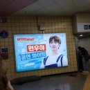 NOT ALONE HERE | 세븐틴 Right Here 콘서트 후기