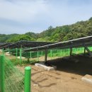 경호1호 태양광발전소 이미지