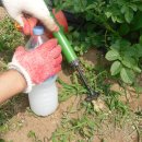 주혜농장 이미지