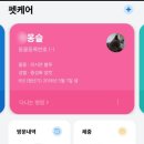 아델 동물병원 이미지