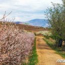 양강농장 이미지