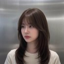 주살롱 - 양천구 | 주살롱