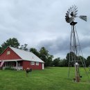 보나농장 이미지