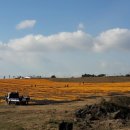 주홍목장 이미지