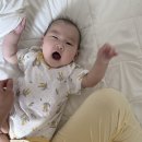 웨어엣 | 집에서 입는 건데… 왜 이렇게 예쁘지? - 천연소재 라운지웨어 #클레드엣 후기