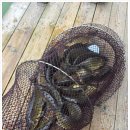 하늘낚시공원낚시터 이미지