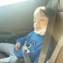 지오펜션2 이미지