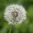 밀양댐생태공원 이미지