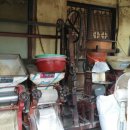 창녕시장 이미지