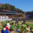 봉산농장 이미지