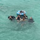 제주애락 이미지