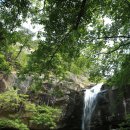 수옥목장 이미지