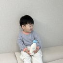 로얄개발㈜ | 궁중비책 아기로션 프리뮨 모이스처 로션 몰티즈 에디션