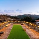 오늘하루 애견 동반 스파펜션 이미지