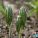 낮은정원 이미지