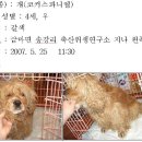 홍성군청(축산과) Daum카페