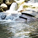 우이동 주막족발집 이미지