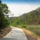봉화군 물야면 북지리 산159-6번지, 산159-10번지 (도접 / 평탄지 넓은 싼 임야) 이미지
