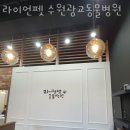 라이언펫 수원광교동물병원 이미지