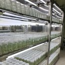 앤바이오 이미지