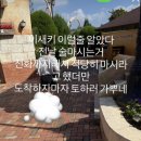 경주월드 화장실 이미지