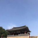 진현축산 네이버블로그
