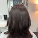 마산 | 마산댓거리미용실 도니헤어 염색 후기