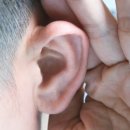 난청, 치료제 개발 가능해질까... 숨은 원인 밝혀 &#34;단백질 대사 이상&#34; 이미지