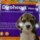 영광약국 이미지