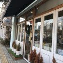 켄과콩나무 이미지