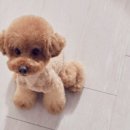 유영철 농장 이미지