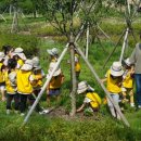 알곡어린이집 이미지