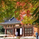 시나브로 이미지