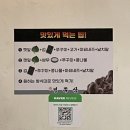 부산 초량 내돈내산 맛집 정쭈삼 부산역 로컬맛집