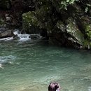 용지동힐링펜션 이미지