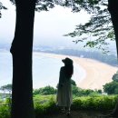 상주은모래비치캠핑장 이미지