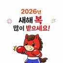 부산챔프복싱 이미지