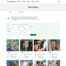 GD동물병원 이미지