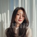 헤어9900