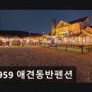 5959애견동반펜션 네이버블로그