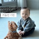 노래하는 | 12개월 18개월 아기장난감:: 터미타임인형으로도 찰떡 춤추고노래하는커들반기린 솔직후기