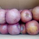 별빛농장 이미지