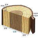 춘재
