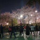 사진교실(야간) 이미지