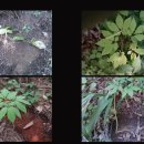 소광리민박 이미지