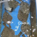 죽변수협회센타 이미지