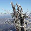 시간여행 이미지