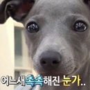 취중진담 이미지