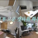 모던코드 이미지
